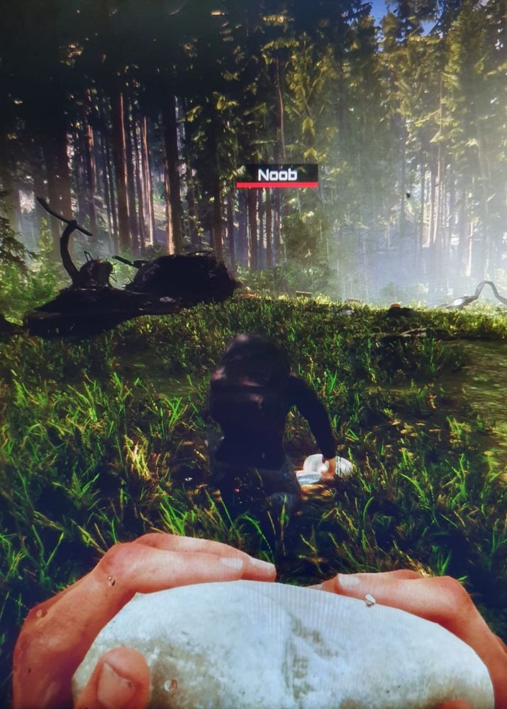 Sons Of The Forest PC Free Download (v43470)