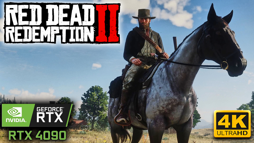 SOVLED] Red Dead Redemption 2 ERR_GFX_STATE Error - Driver Easy