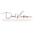 davidkingham.com